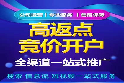 SEM竞价实战：成功案例解析